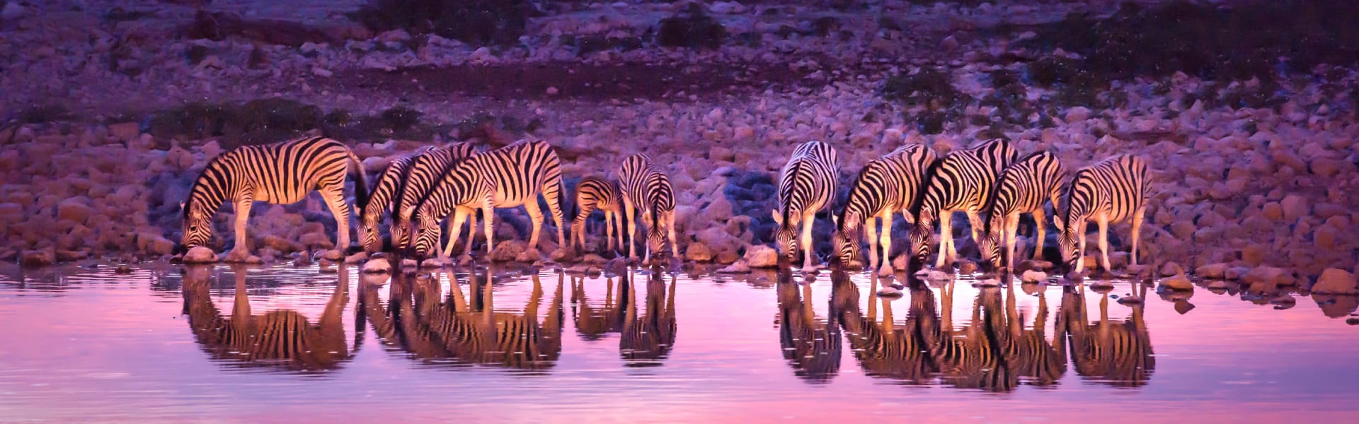Why are African Safaris so expensive?