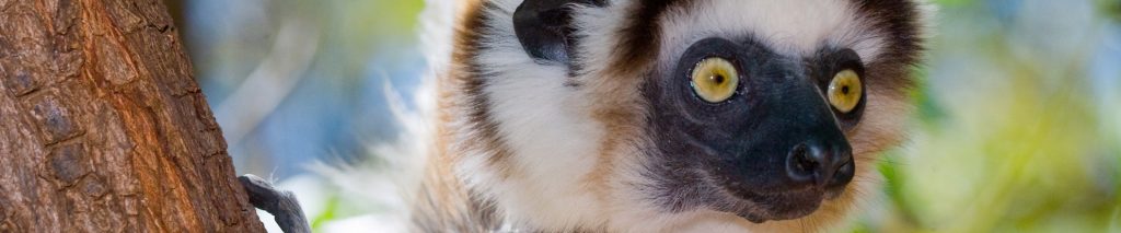 Madagascar